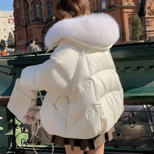 Women's Short Down Cotton Jacket – Thickened Winter Coat with Fur Collar - Image 6